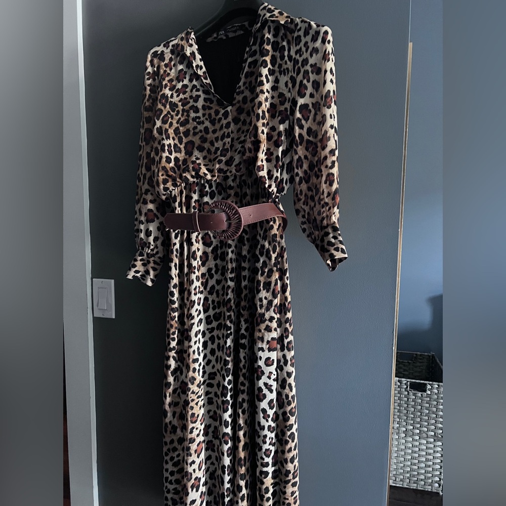 Zara dress